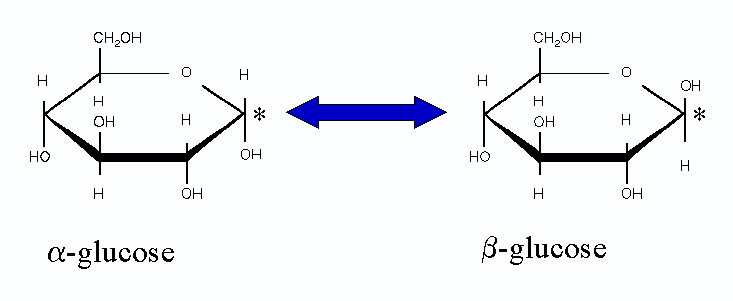 evenwicht tussen alfa- en beta-vorm van glucose