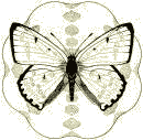Nederlandse Entomologische Vereniging